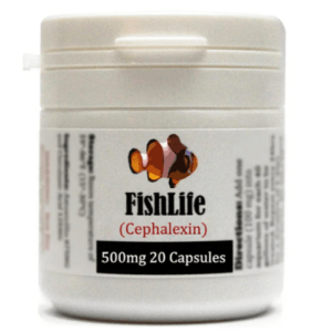 Cephalexin ( KEFLEX) Aquatic Antibiotics (Fish Flex Forte ) 500MG - 20 Capsules