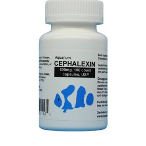 CEPHALEXIN 500 - 100 CAP