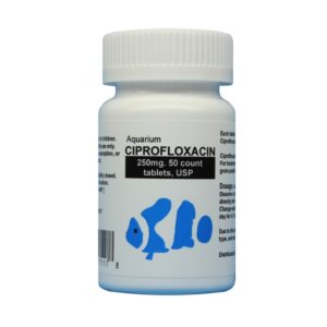 CIPROFLOXACIN 250 - 50CAP