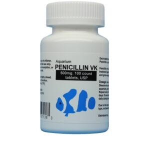 PENICILLIN VK 500 - 100CAP