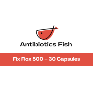 Fix Flox 500 – 30 Capsules
