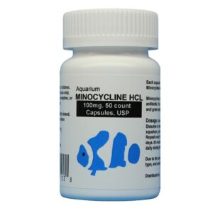Minocycline HCL 100 - Fish Antibiotics