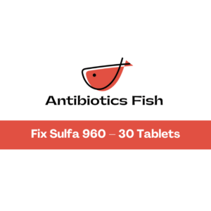 Fix Sulfa 960 – 30 Tablets