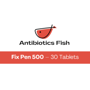 Fix Pen 500 – 30 Tablets