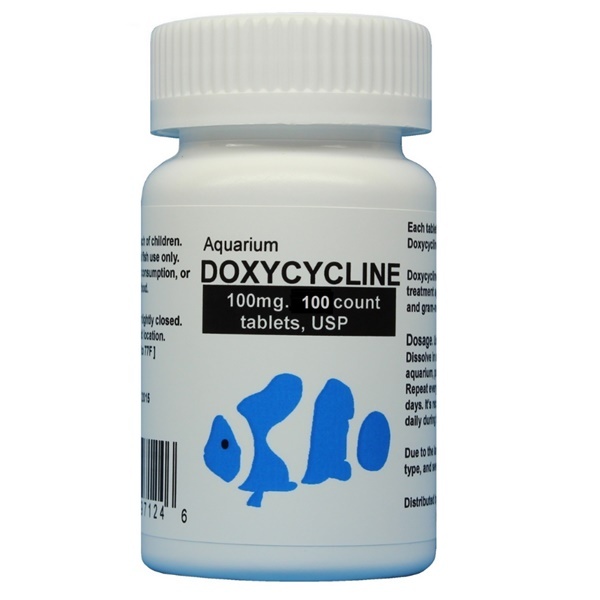 Doxicycline - Fish Antibiotics