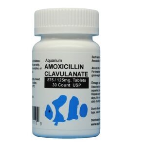 Amoxillin Clavulanate 875 125 - Fish Antibiotics