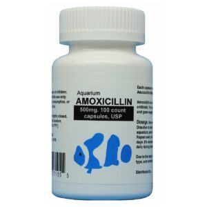 Amoxicillin Aquatic Antibiotics (Fish Mox-Fish Mox Forte) 500MG - 100 Capsules