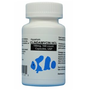 Clindamycin Fish (Fish Cin) 150 mg - 100 Capsules