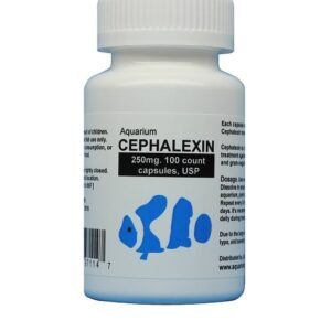 Cephalexin 250 - Antibiotics Fish
